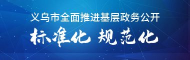 政務公開標準化規范化專題