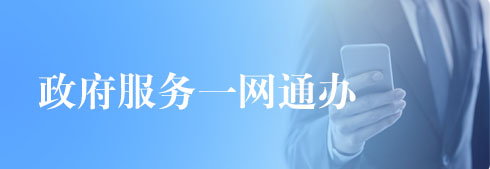政府服務一網通辦