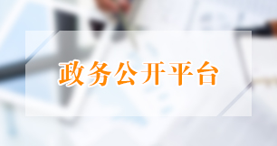 政務公開平臺
