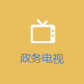 政務電視